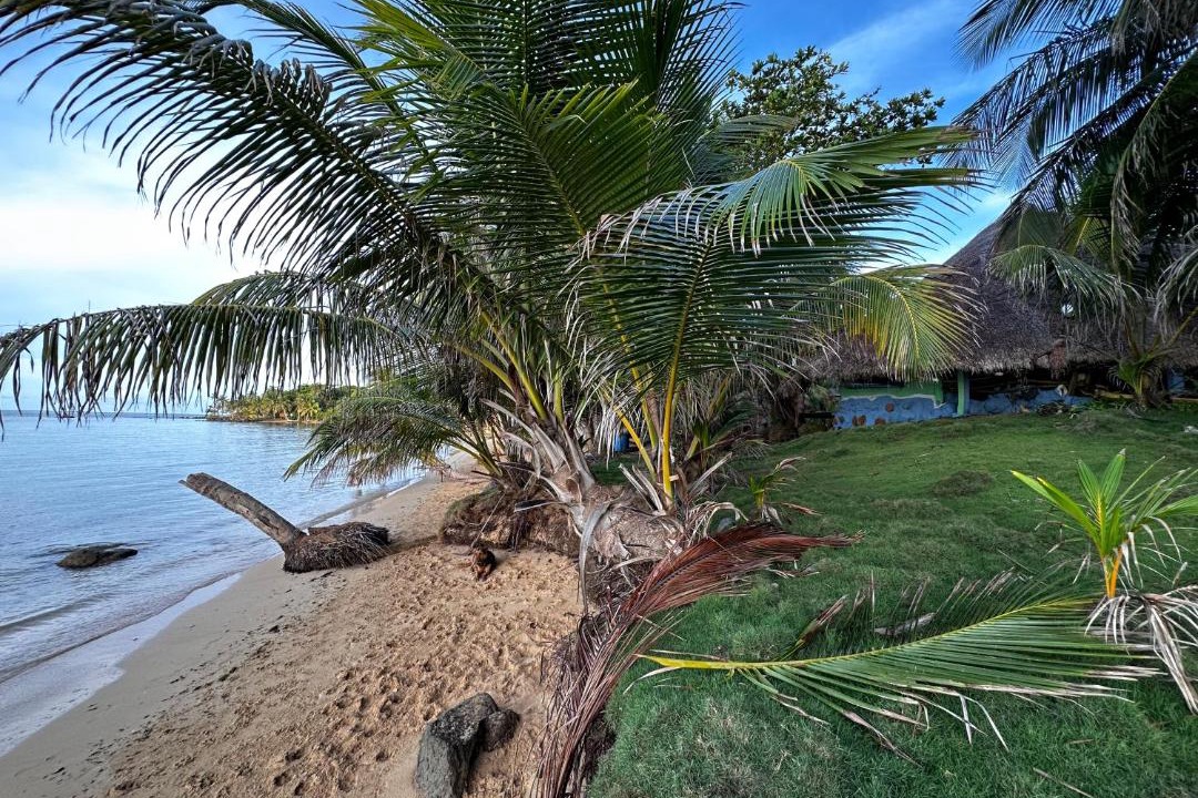 Photo of Others in Little Corn Island
