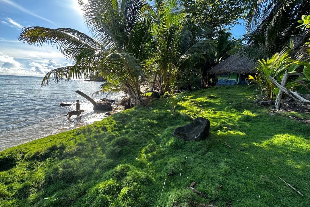 Photo of Others in Little Corn Island