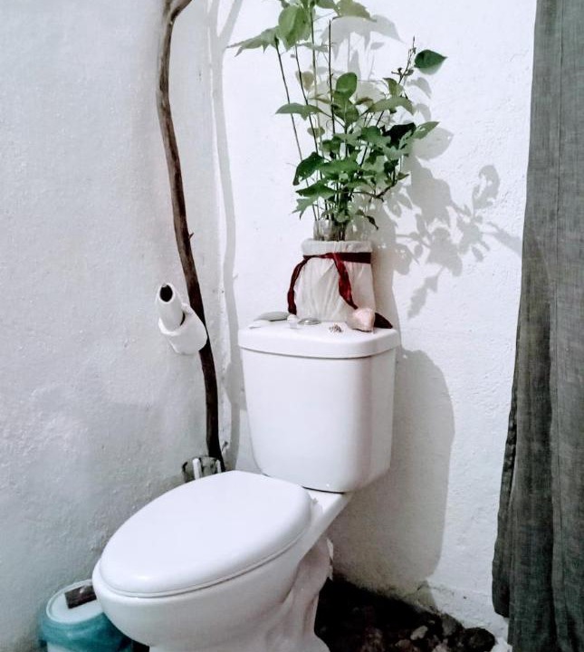 Photo of Bathroom in Poneloya