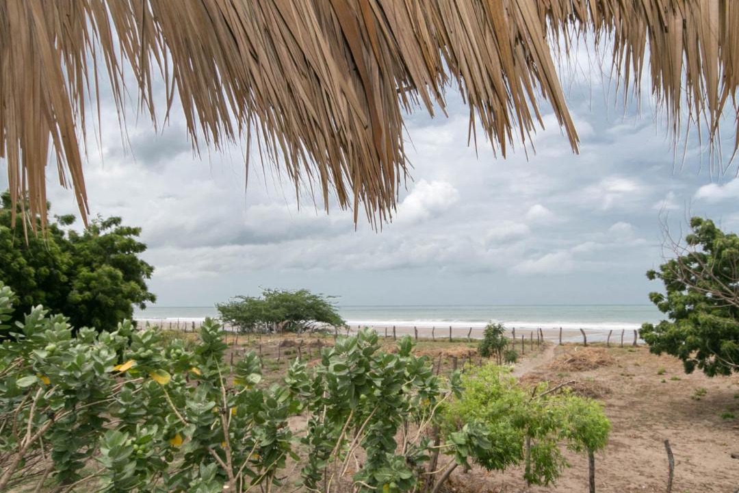 Photo of Others in Popoyo