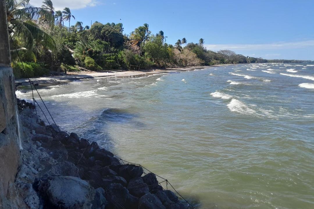 Photo of Others in Ometepe Island
