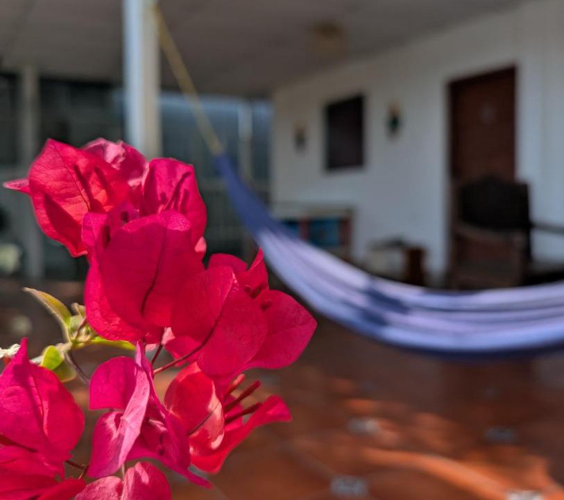 Photo of Others in Managua