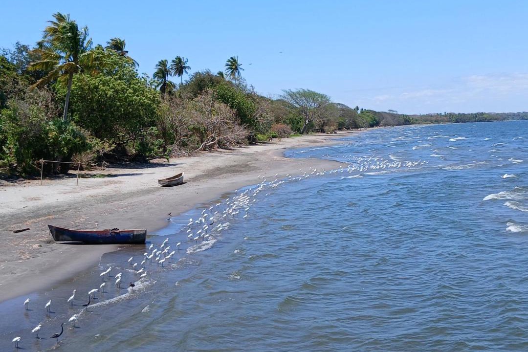Photo of Others in Ometepe Island