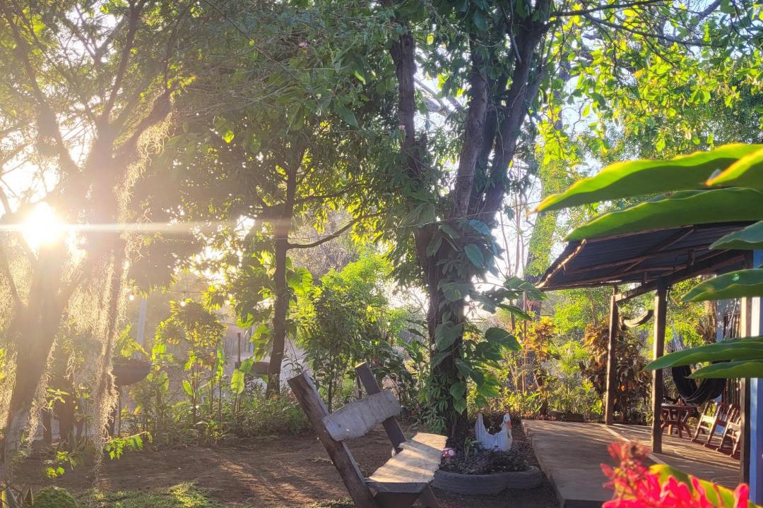 Photo of Others in Ometepe Island