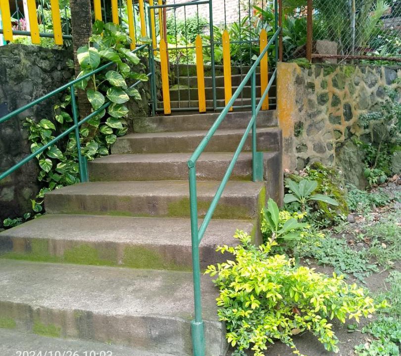 Photo of Others in Ometepe Island