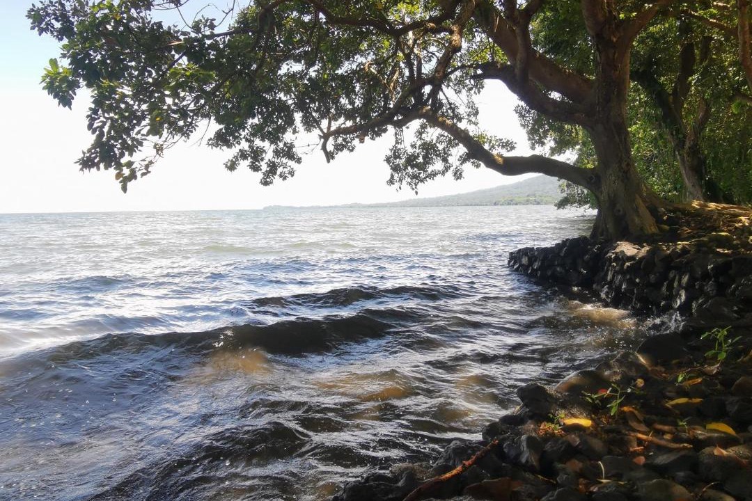 Photo of Others in Ometepe Island