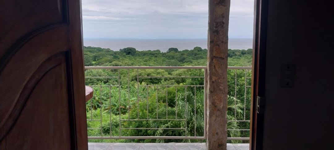 Photo of Others in Ometepe Island
