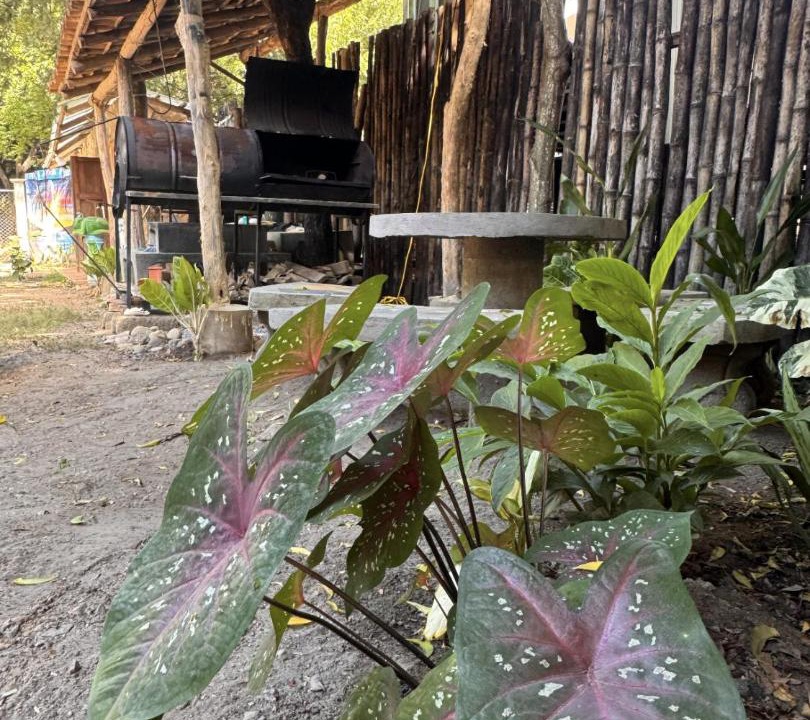 Photo of Others in Popoyo