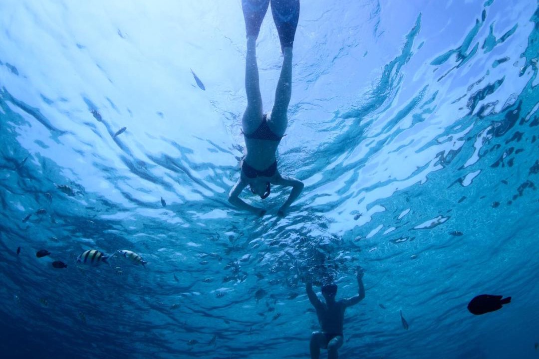 Photo of Others in San Juan del Sur
