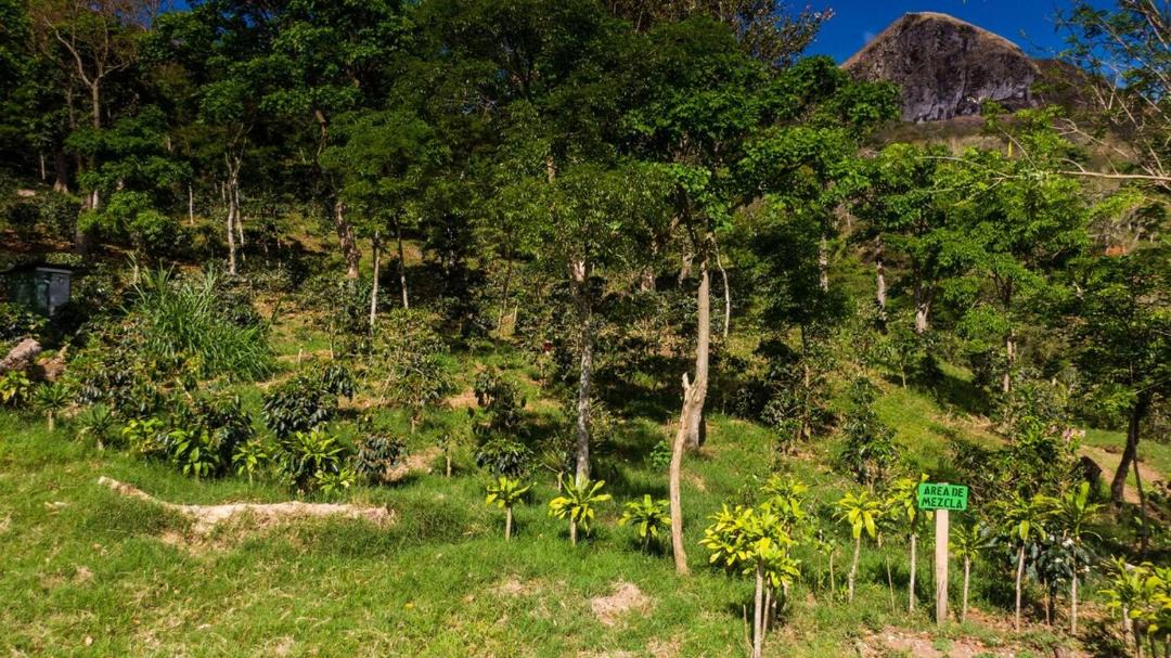 Photo of Others in Matagalpa