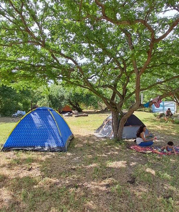 Photo of Others in Las Penitas