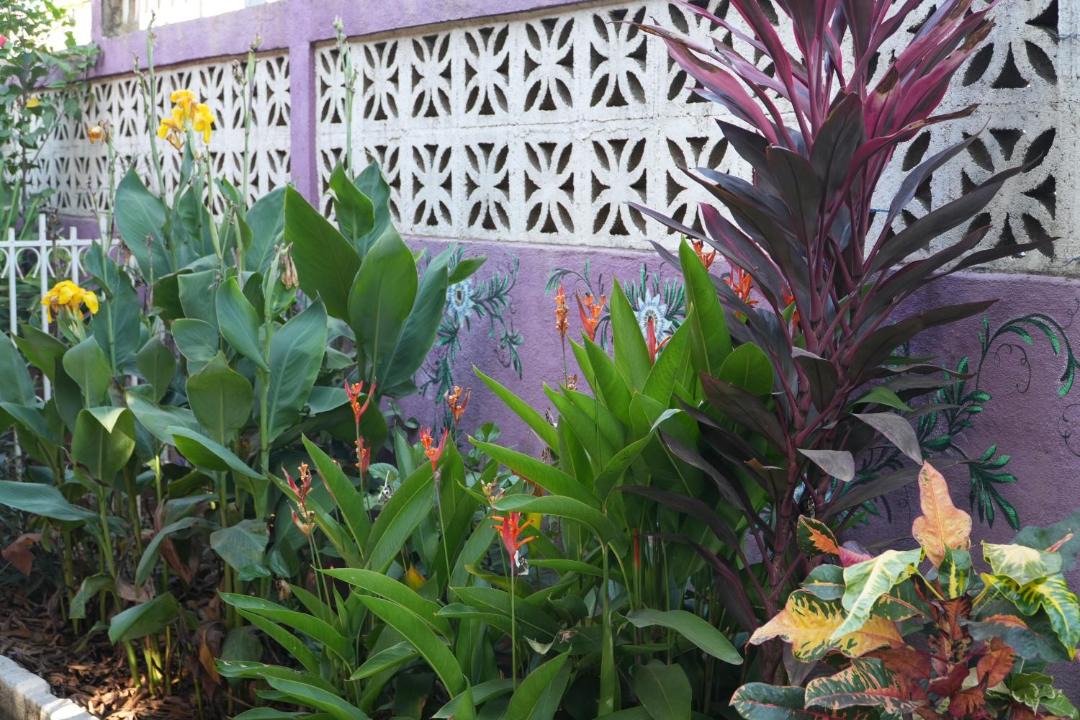 Photo of Others in Managua