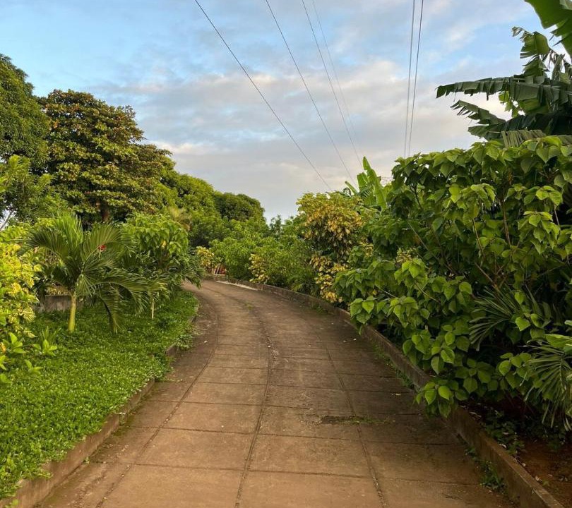 Photo of Others in Masaya