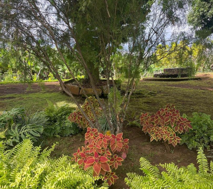 Photo of Outdoor in Masaya