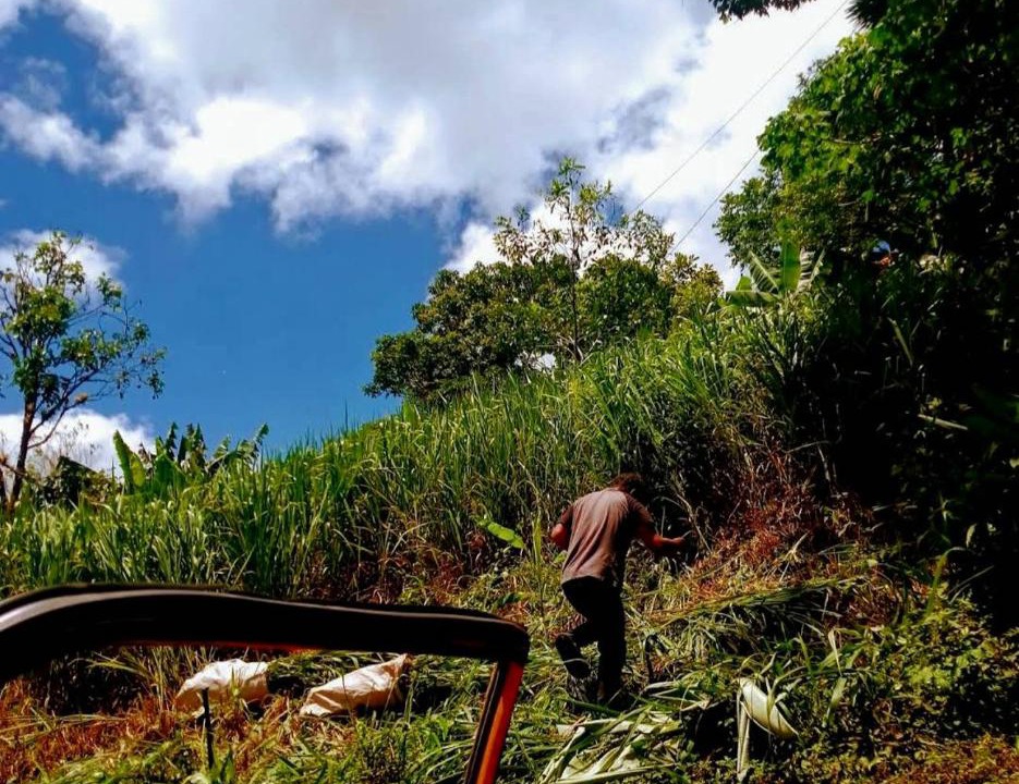 Photo of Others in Matagalpa