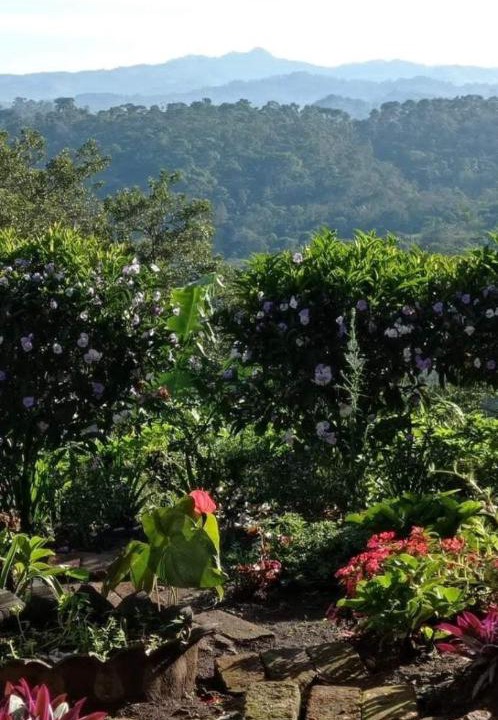 Photo of Others in Matagalpa