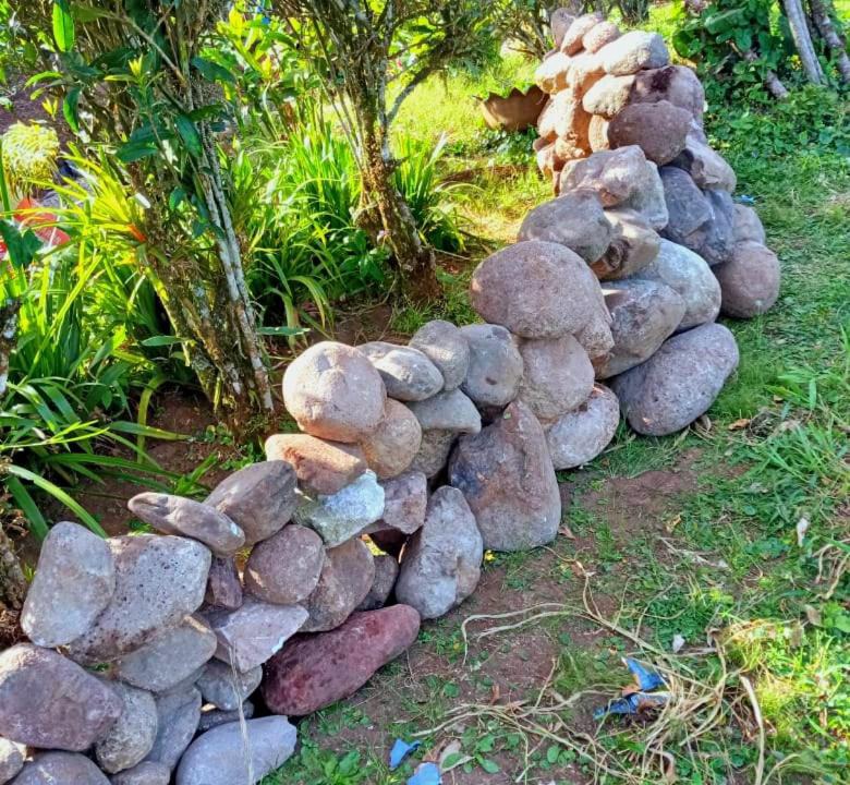Photo of Others in Matagalpa