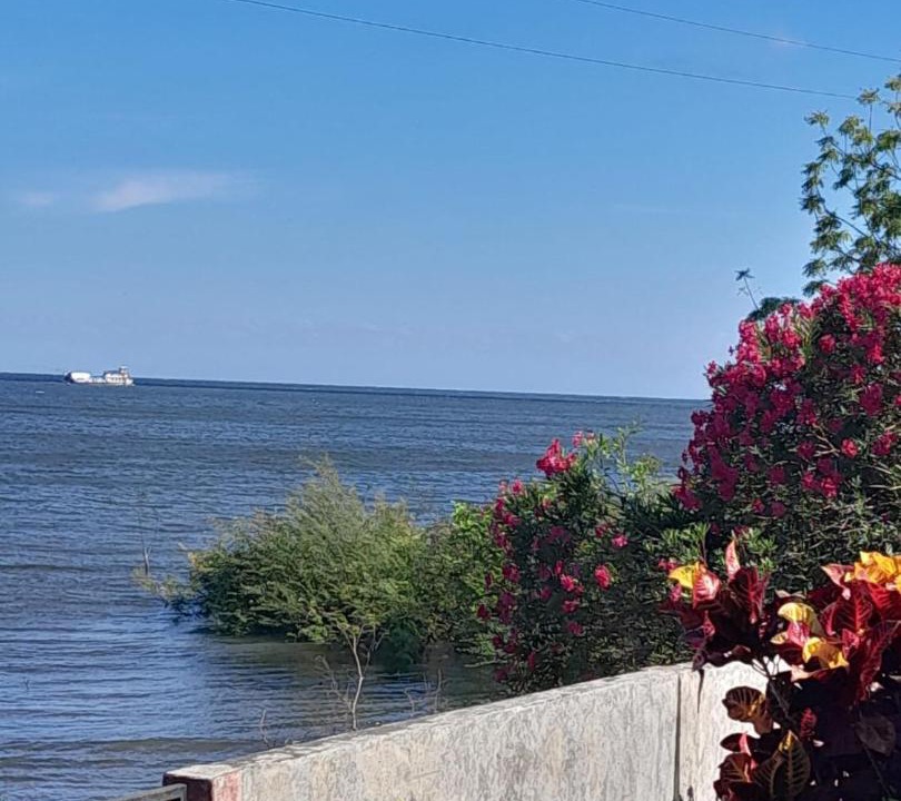 Photo of Others in Ometepe Island