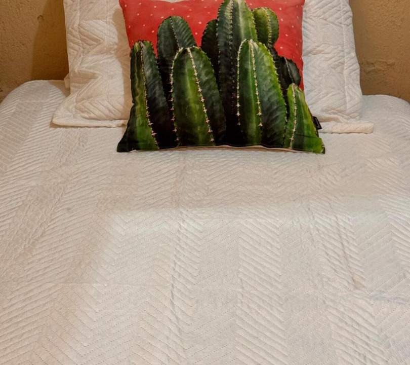 Photo of Bedroom in El Transito