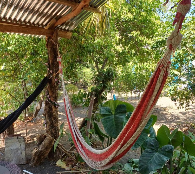 Photo of Others in Ometepe Island