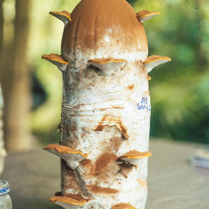 Photo of Others in Santa Cruz