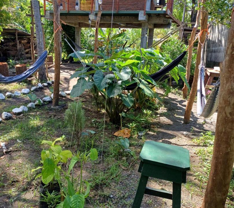 Photo of Others in Ometepe Island
