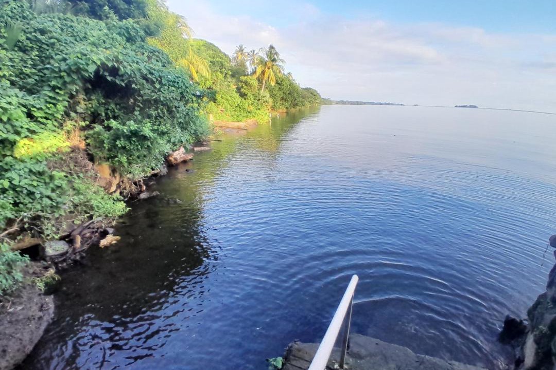 Photo of Others in Ometepe Island
