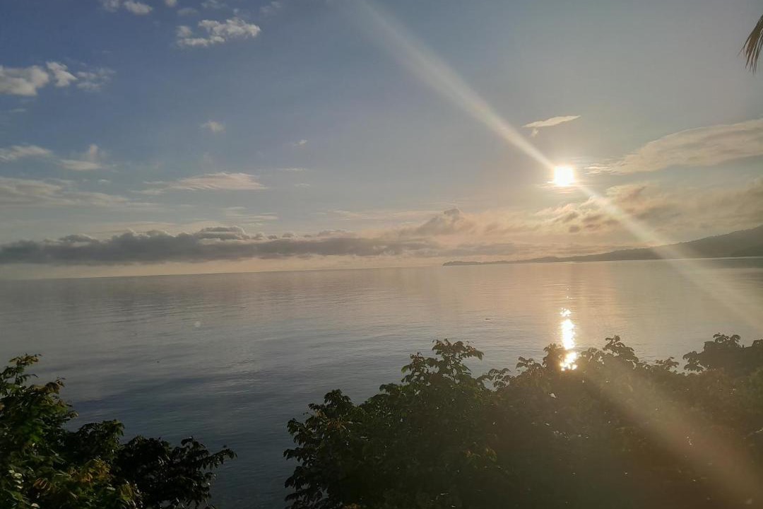 Photo of Others in Ometepe Island