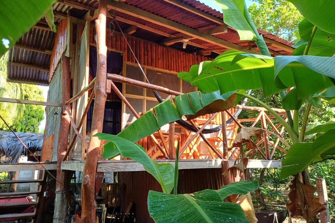 Photo of Others in Ometepe Island