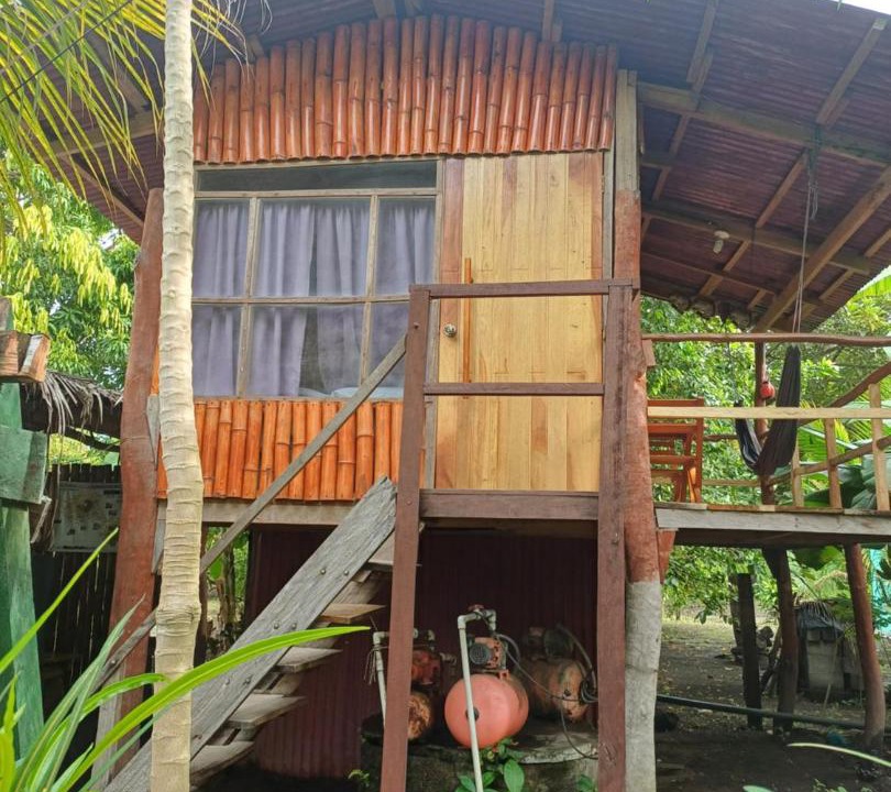 Photo of Others in Ometepe Island