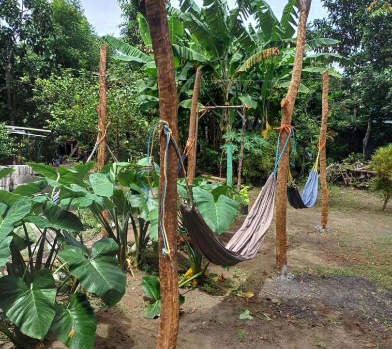 Photo of Others in Ometepe Island