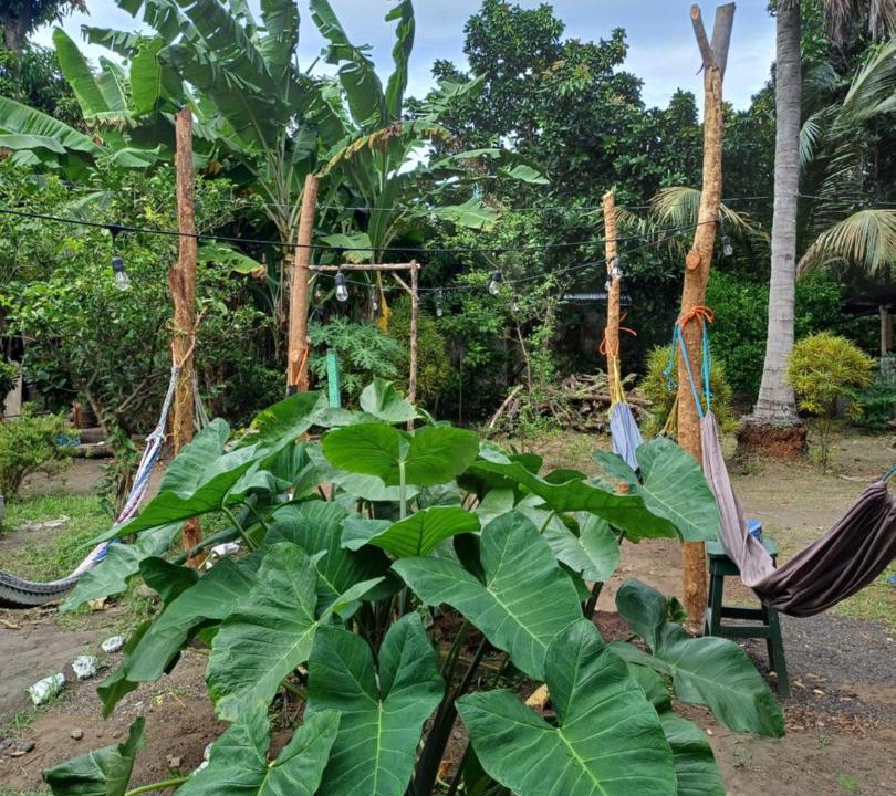 Photo of Others in Ometepe Island