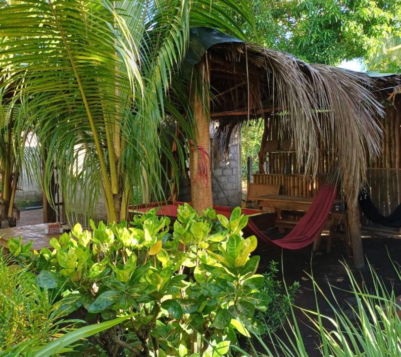 Photo of Others in Ometepe Island