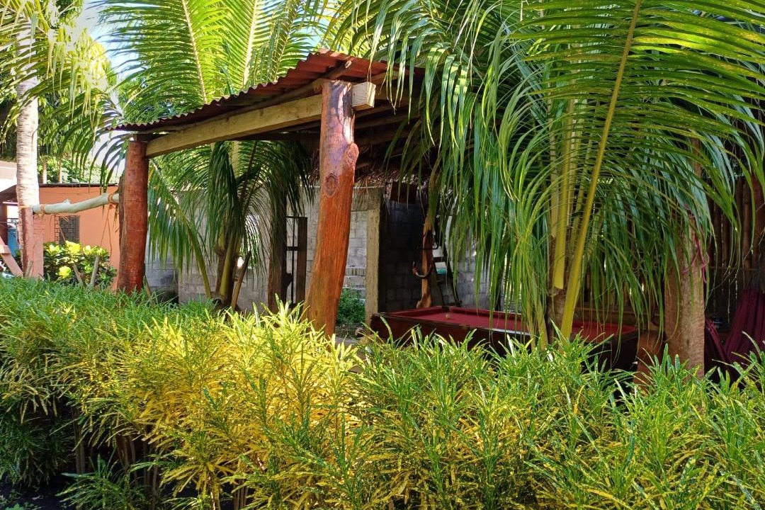 Photo of Others in Ometepe Island