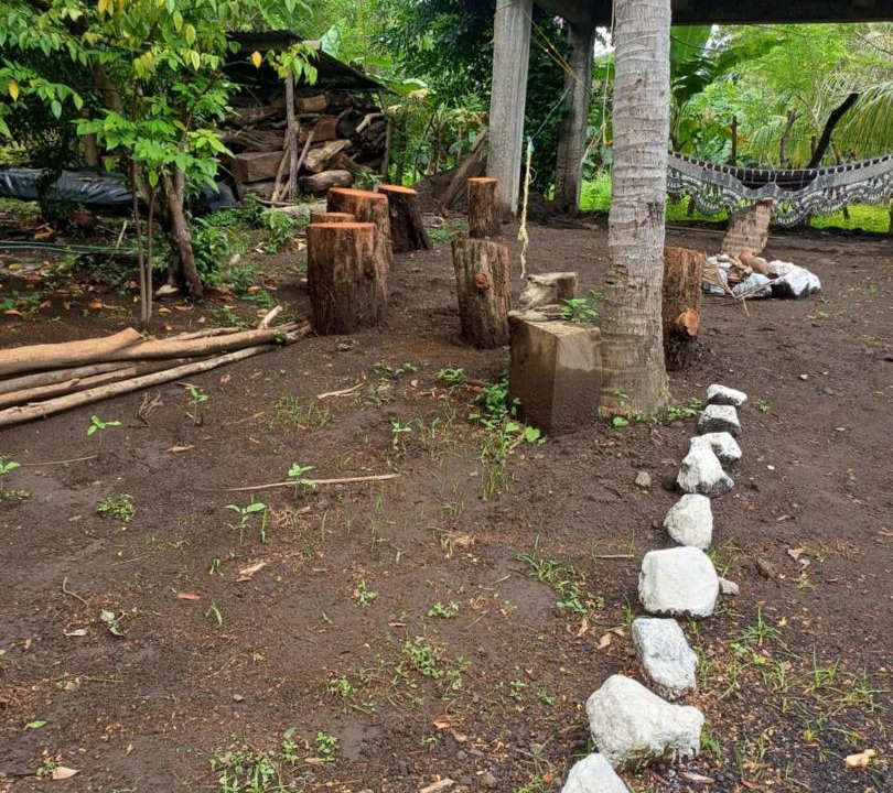 Photo of Others in Ometepe Island