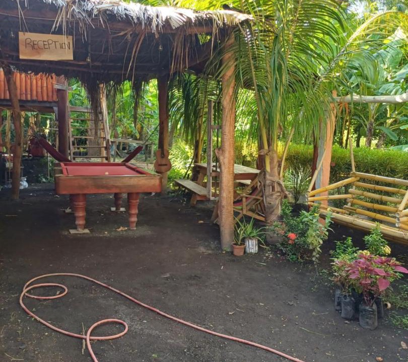 Photo of Others in Ometepe Island