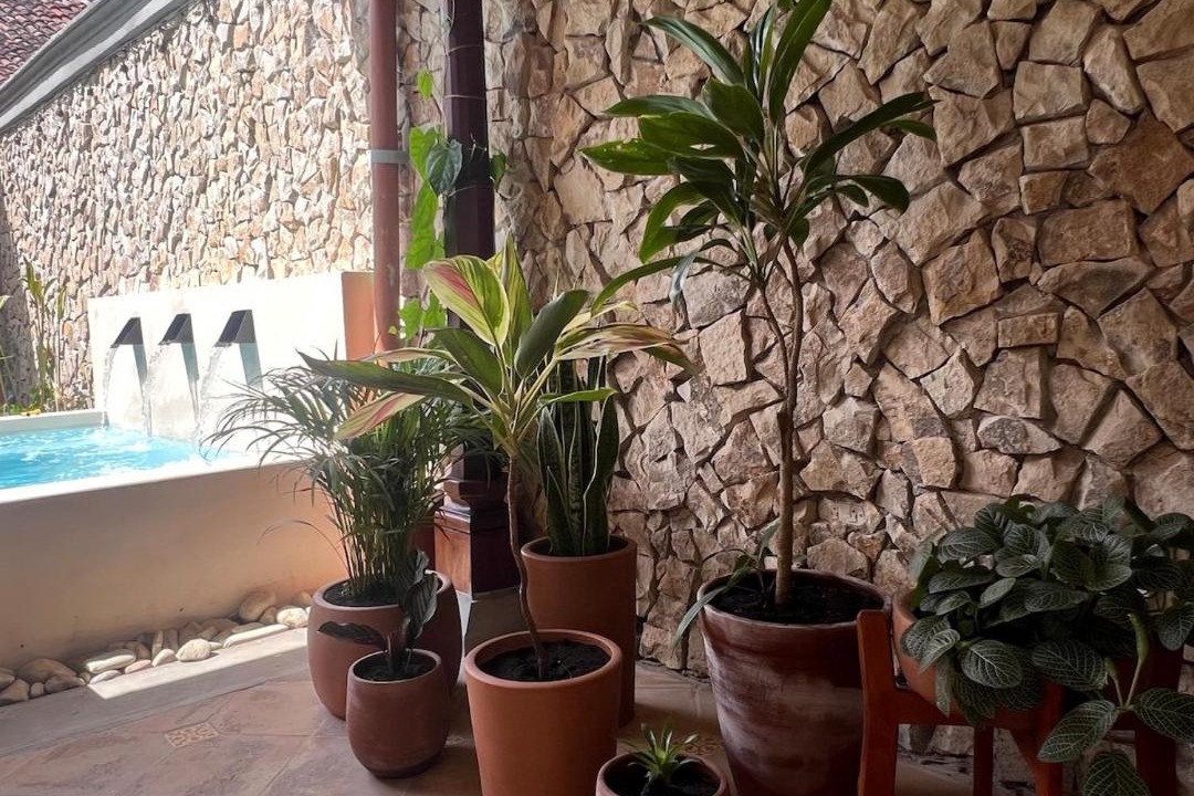 Photo of Others in Granada