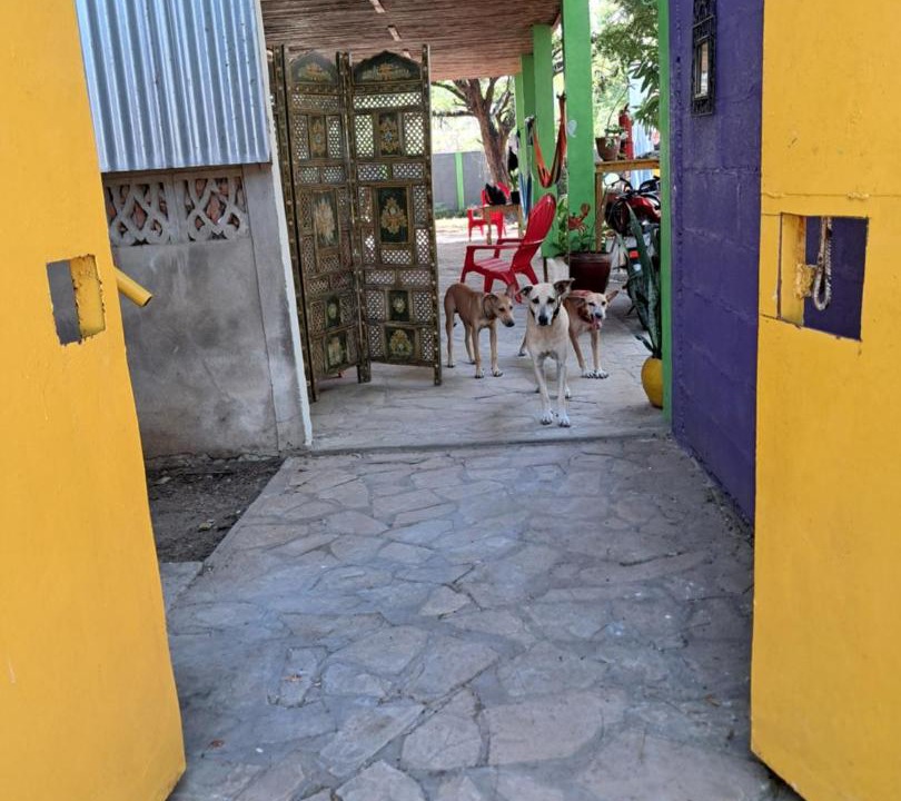 Photo of Others in Las Penitas
