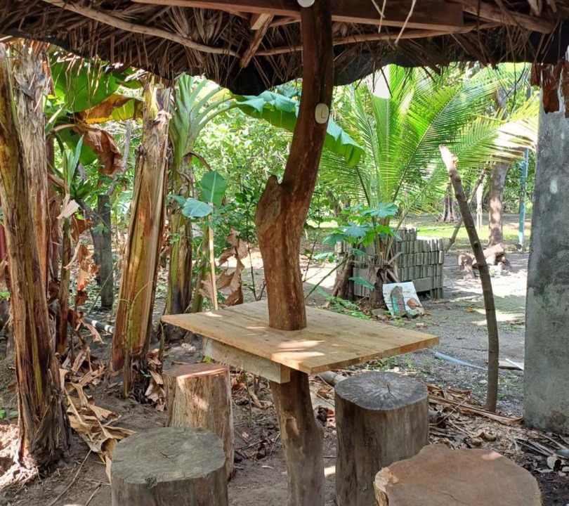 Photo of Others in Ometepe Island