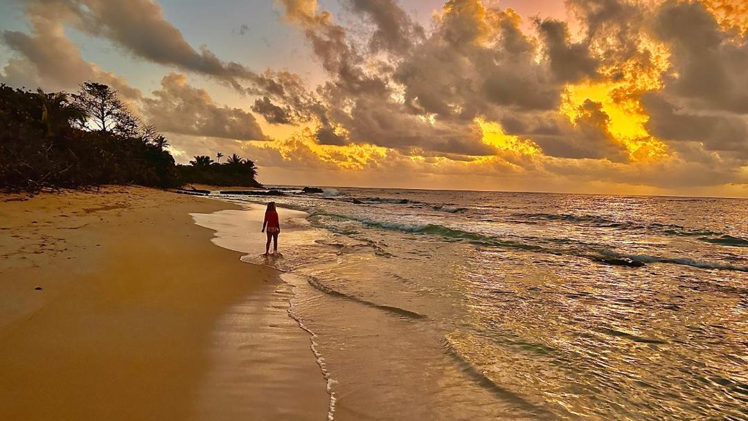 Photo of Others in Corn Island