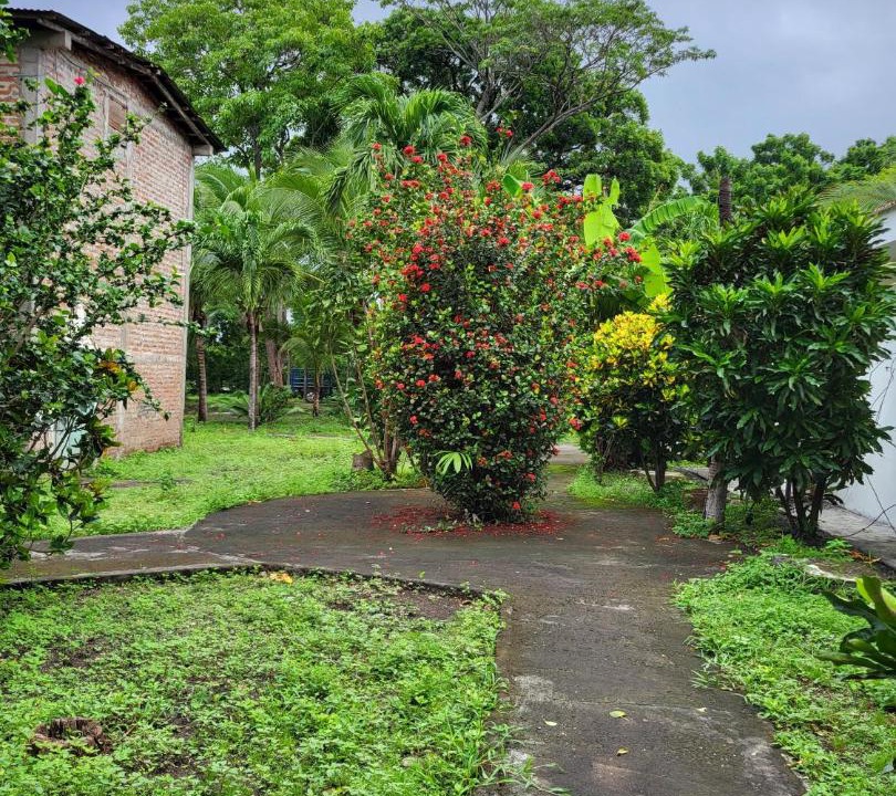 Photo of Others in Ometepe Island