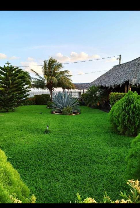 Photo of Others in Ometepe Island