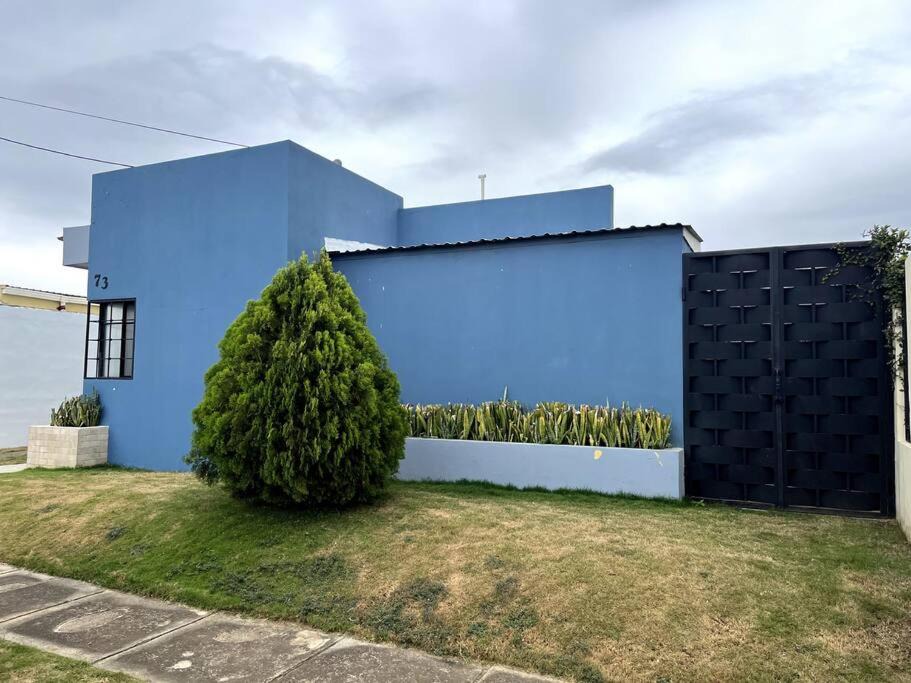 Photo of Others in Managua