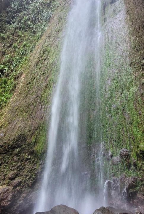 Photo of Others in Ometepe Island