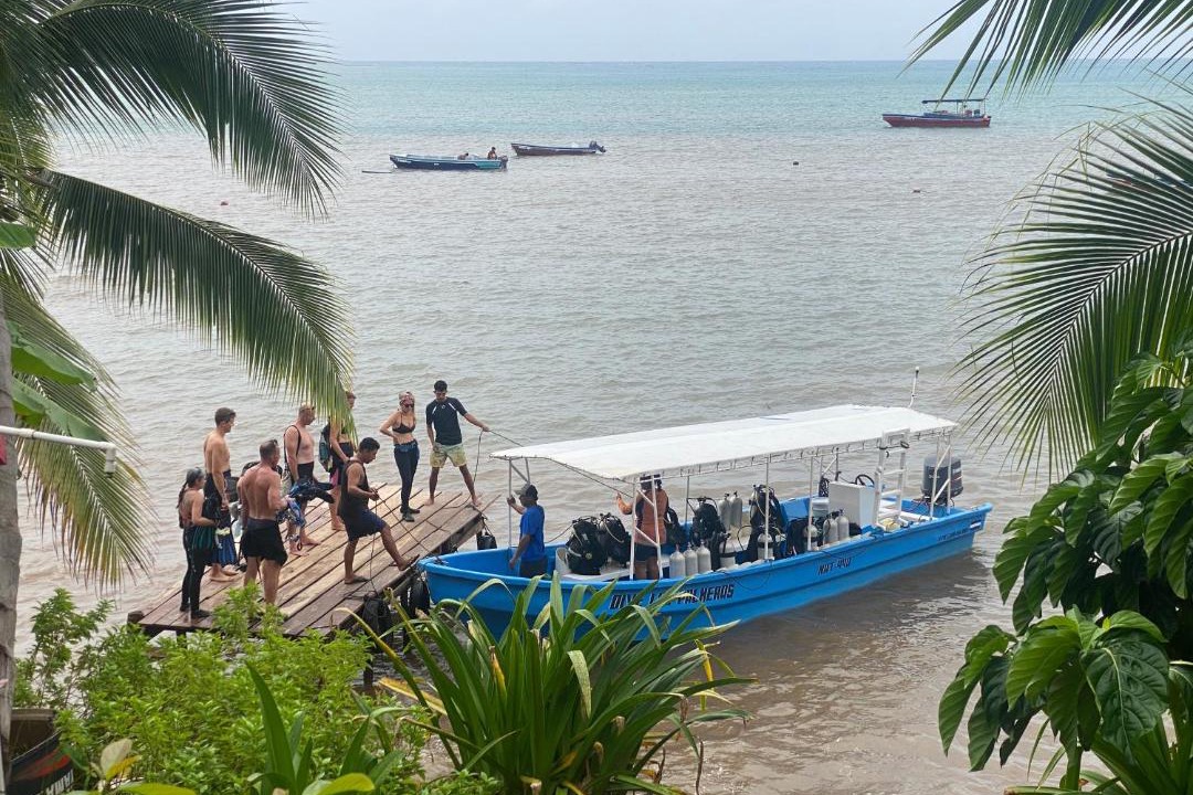 Photo of Others in Little Corn Island
