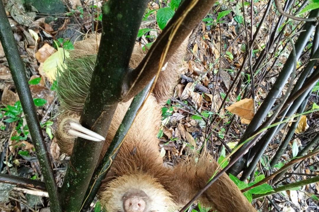 Photo of Others in Matagalpa