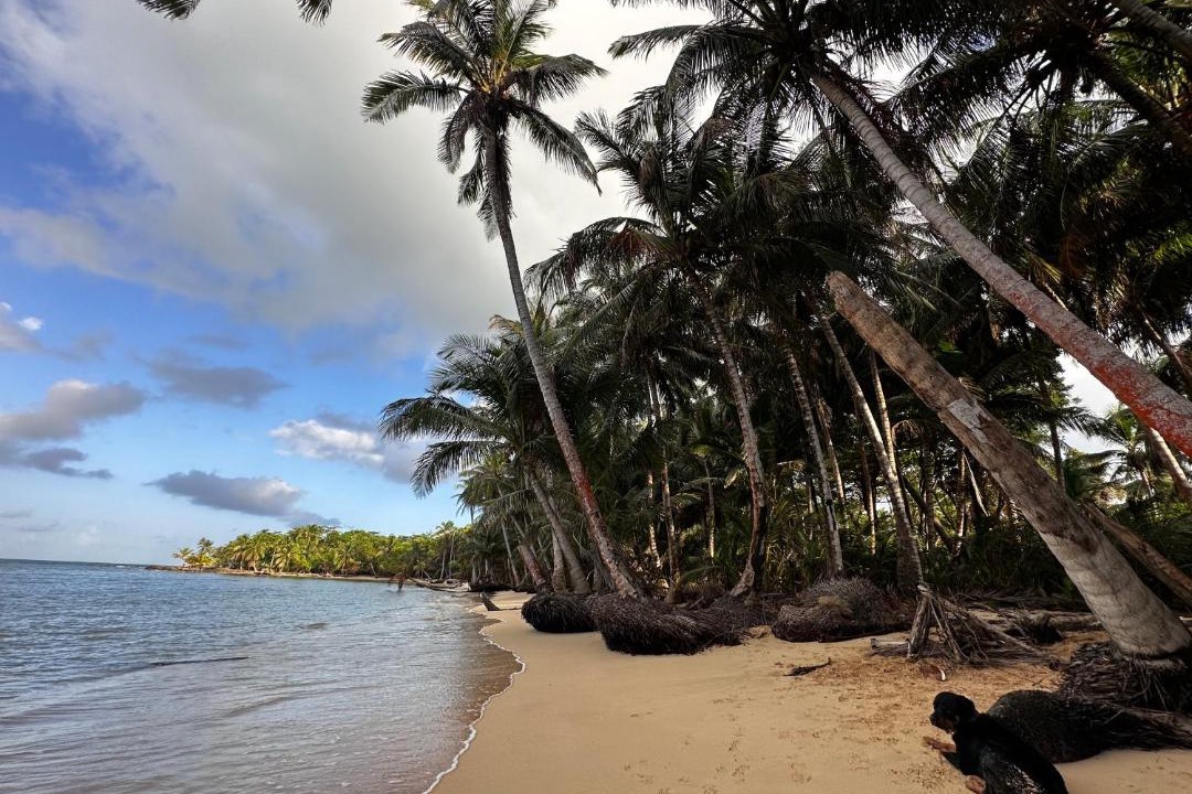 Photo of Others in Little Corn Island