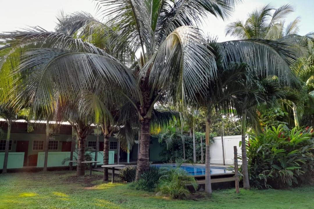 Photo of Others in El Viejo