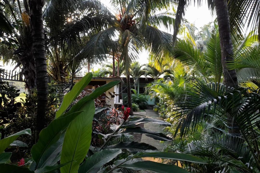 Photo of Others in El Viejo