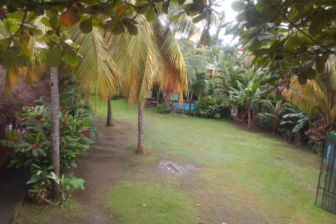 Photo of Others in El Viejo
